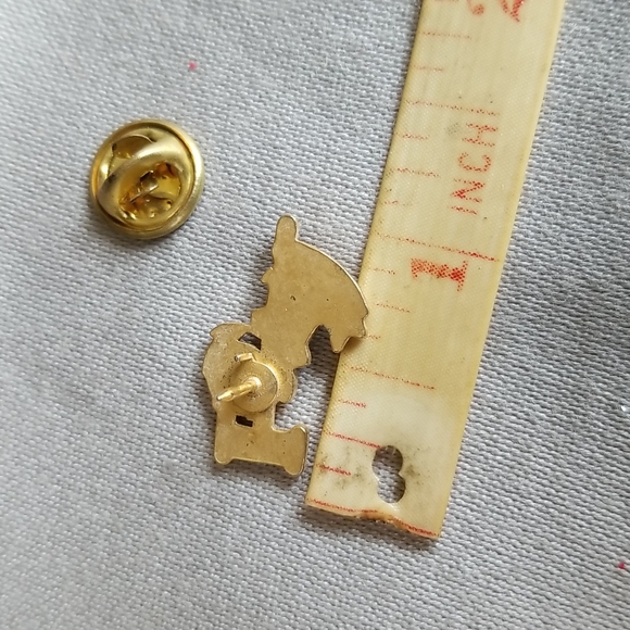 ELKS LODGE EXALTED RULER enamel lapel pin - Picture 2 of 2